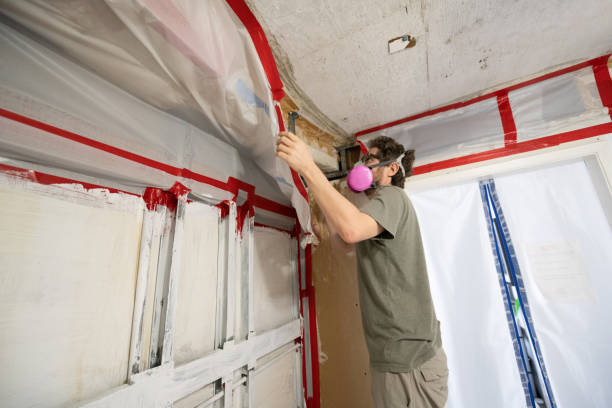 Best Biohazard Mold Removal  in Scottdale, GA